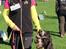 Hundetræning i 3200 Helsinge
