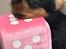 Australian silky terrier Hvalpe