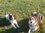 Blanding af racer Aussie / springer