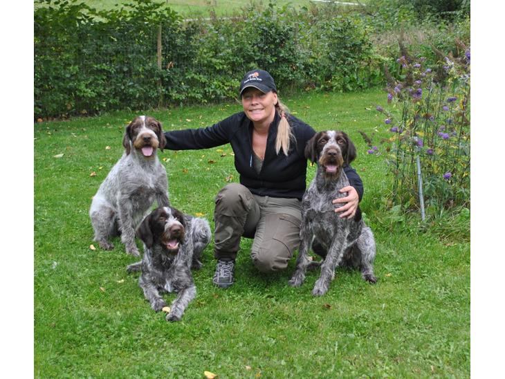 Hundetræning i 3200 Helsinge billede 0