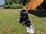 Labrador retriever Gammeldags
