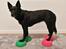 *NY* Paw pods