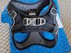 Dog copenhagen comfort walk go xs
