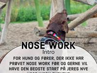 Nose Work tr&#230;ning