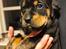 Rottweiler Blandings Hvalpe