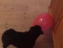Berta kan spille med ballon