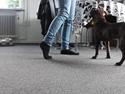 Selvkontrol med Kayzer