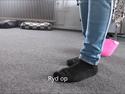 Tricks med Paya (chihuahua)