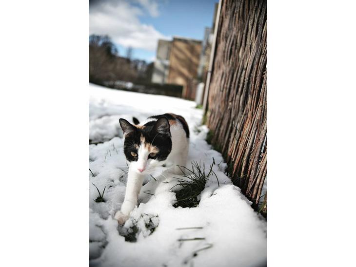 {{currentPhoto.altText}} billede {{currentPhoto.number}}