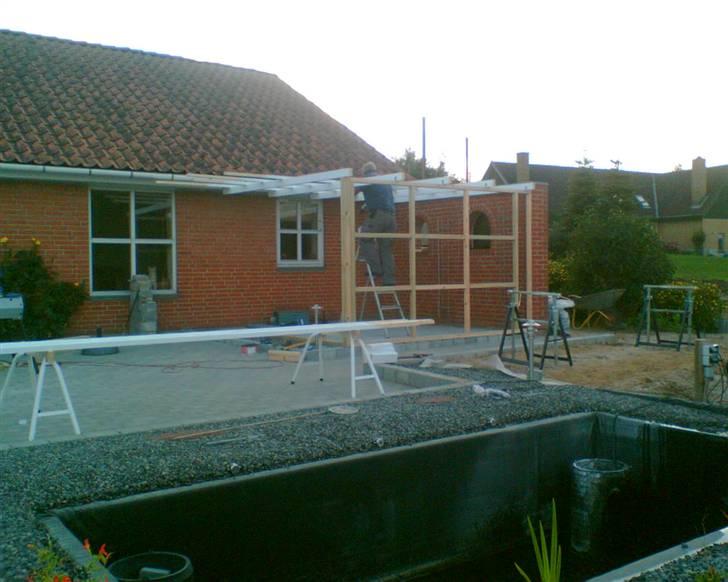 Bygning af kattegård ! billede 5