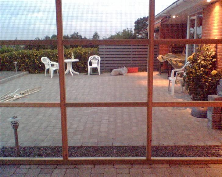 Bygning af kattegård ! billede 12