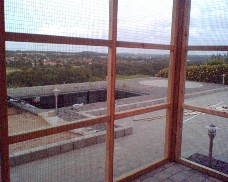 Bygning af kattegård ! - Sådan ser vores udsigt ud indefra.. Vores far skal lige have styr på fiskedammen... billede 13