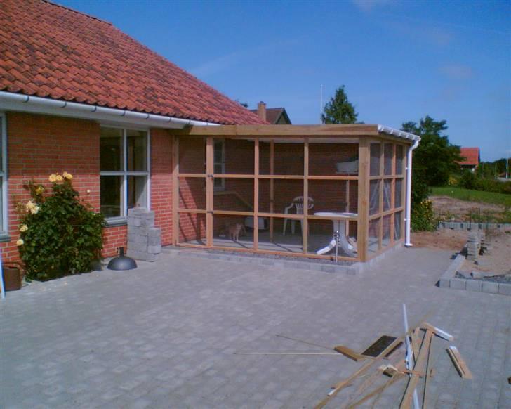 Bygning af kattegård ! billede 19