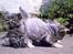 Tango og Stritter killinger 2008 - Tabby hunkilling til venstre, Tortie hunkilling til højre, 4 uger..