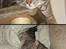 Mine dejlige katte.. - Lige et dobbelt billed af Carma & Hilda <3<3<3<3