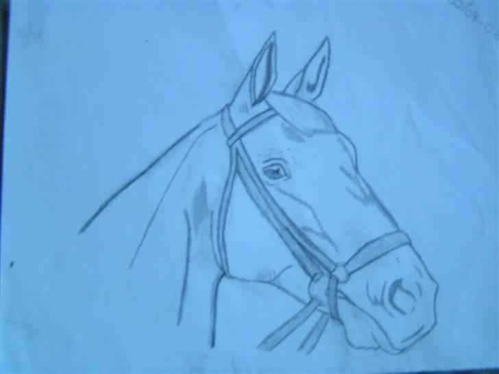 Er de flotte?? - En hest jeg lige tegnet i mens jeg var i skole billede 9