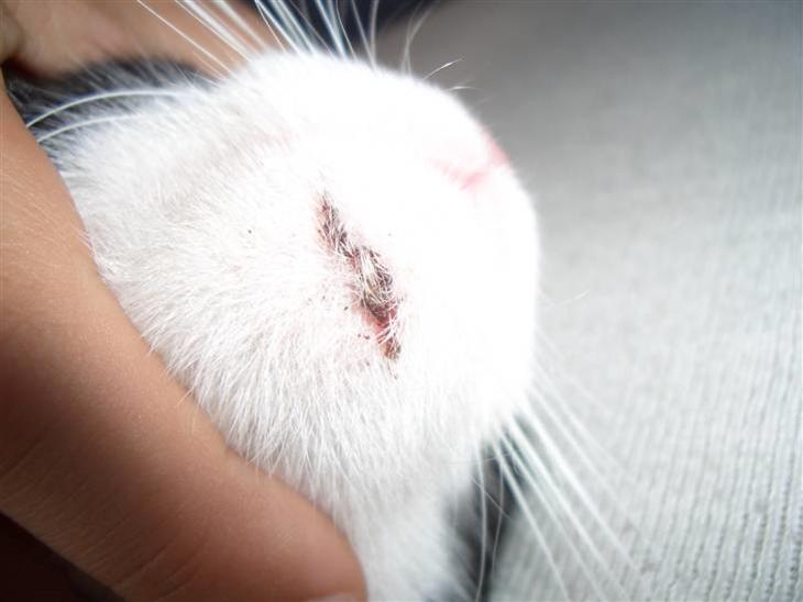 {{currentPhoto.altText}} billede {{currentPhoto.number}}