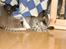 Mine Smukke misser