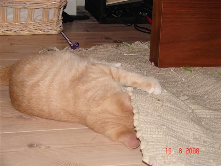 {{currentPhoto.altText}} billede {{currentPhoto.number}}