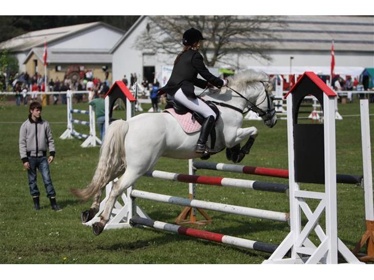 {{currentPhoto.altText}} billede {{currentPhoto.number}}