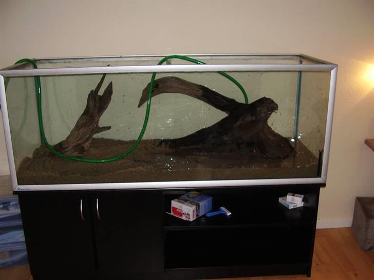 Mit nye 530L akvarie billede 5
