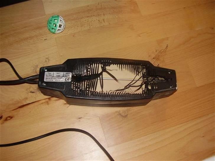 Mit nye 530L akvarie - Ødelagt transformer. Køb ALDRIG det LORT..... billede 20