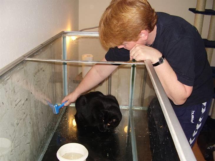 {{currentPhoto.altText}} billede {{currentPhoto.number}}