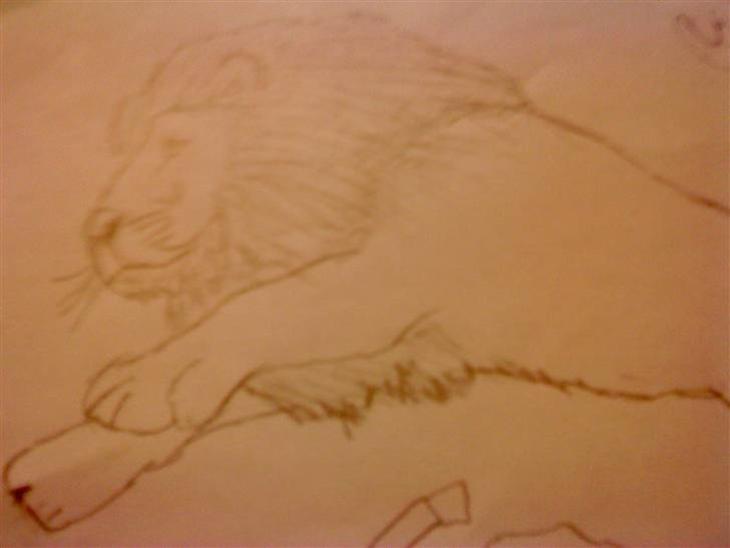 {{currentPhoto.altText}} billede {{currentPhoto.number}}