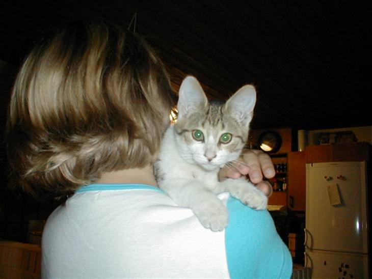 {{currentPhoto.altText}} billede {{currentPhoto.number}}