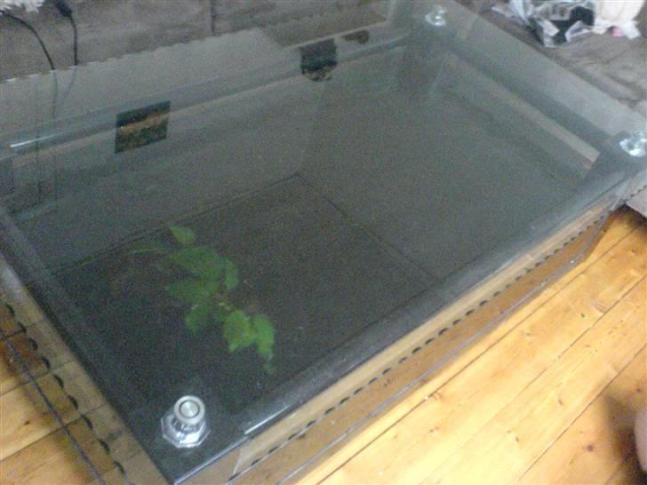 Mit akvarium bord  billede 5