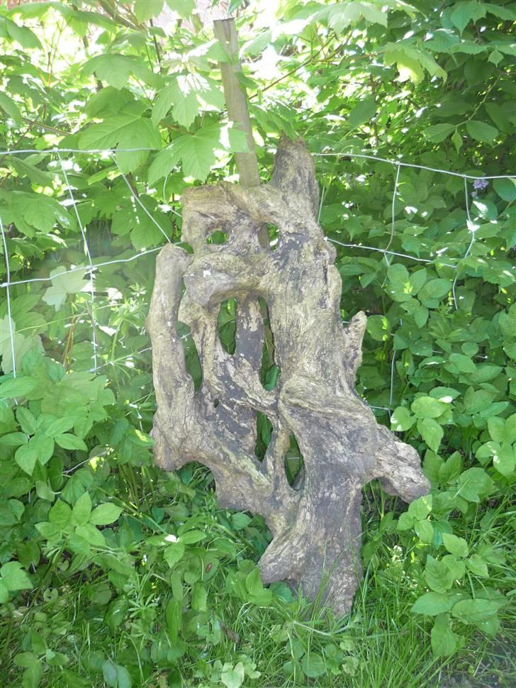 Hus og have.... - Pind fra stranden. billede 36