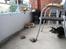 Katte, kanin og pillerne - Balder, Bjarne, Loke, Romeo & robert