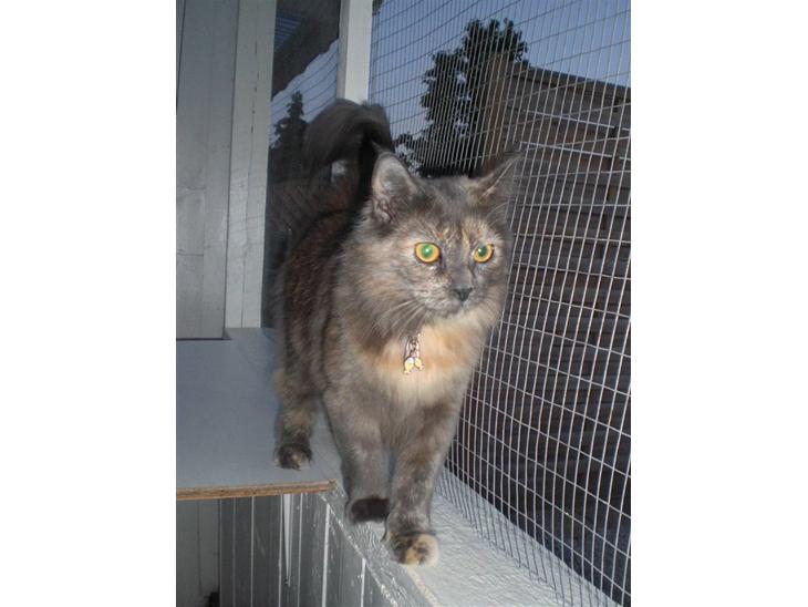 {{currentPhoto.altText}} billede {{currentPhoto.number}}