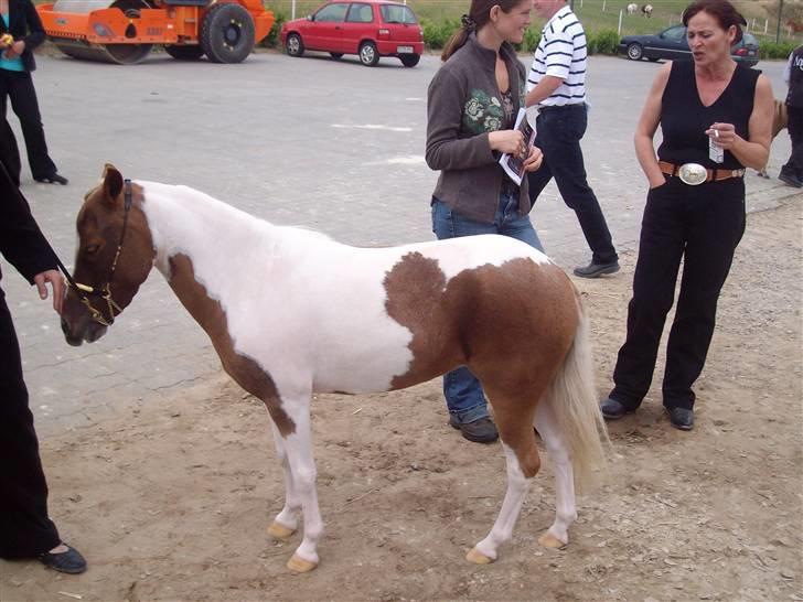 Vores tur til Rosenkilde Gods idag  billede 3