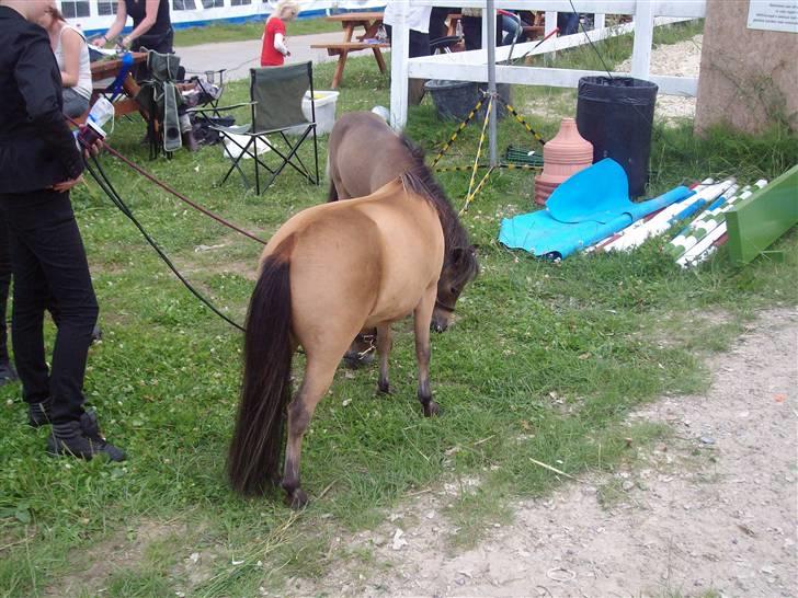 Vores tur til Rosenkilde Gods idag  billede 4