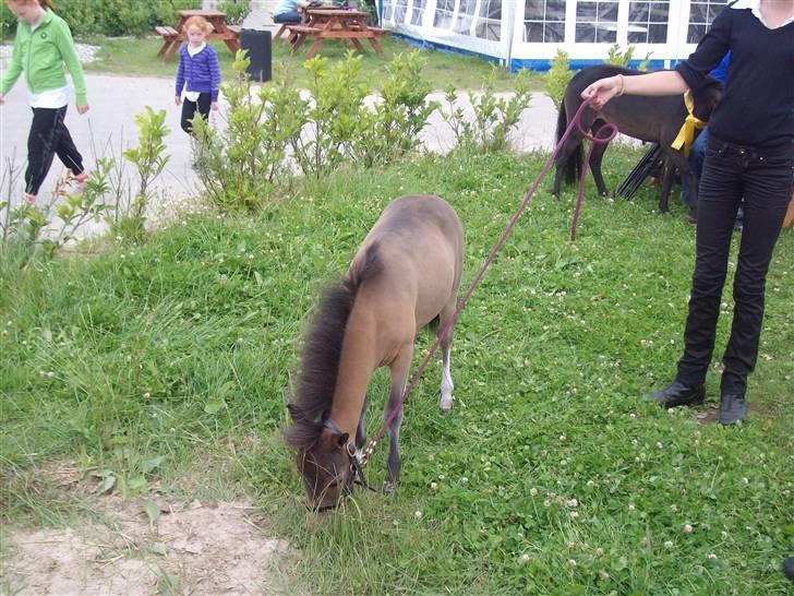 Vores tur til Rosenkilde Gods idag  - Den lille putte her er fire måneder billede 5