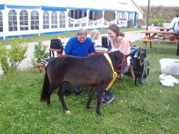 Vores tur til Rosenkilde Gods idag  - Der er en tredje pla<ds billede 6