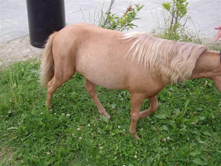 Vores tur til Rosenkilde Gods idag  billede 7