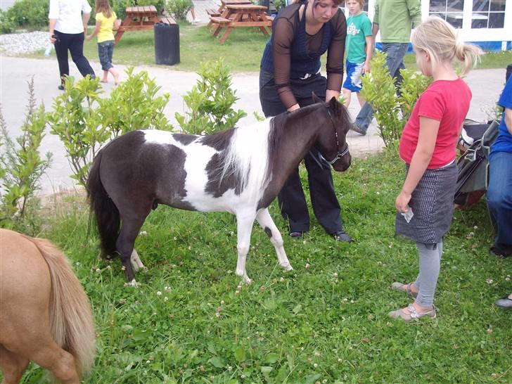 Vores tur til Rosenkilde Gods idag  billede 8