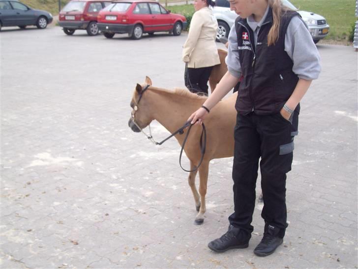 Vores tur til Rosenkilde Gods idag  billede 9