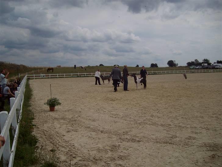 Vores tur til Rosenkilde Gods idag  billede 11