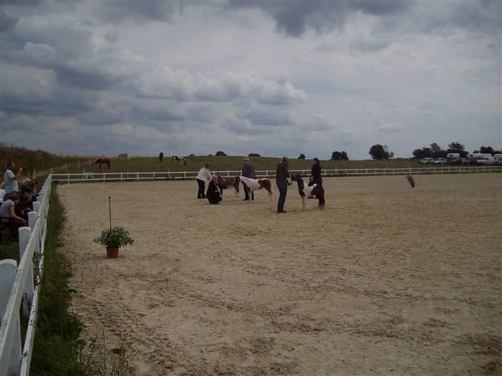 Vores tur til Rosenkilde Gods idag  billede 12