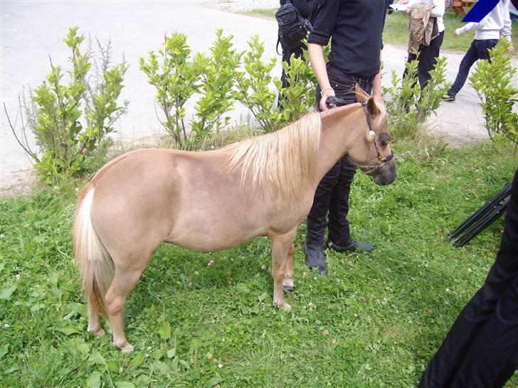 Vores tur til Rosenkilde Gods idag  billede 14