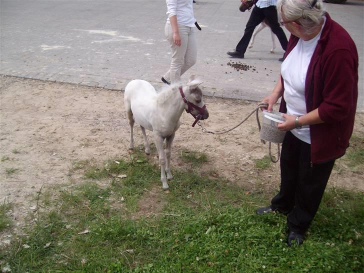 Vores tur til Rosenkilde Gods idag  - Jeg er sød jeg er kun to måneder billede 15