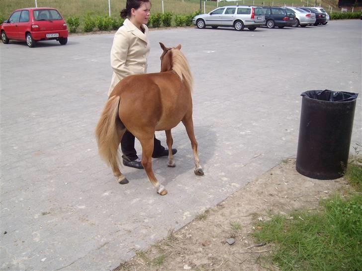 Vores tur til Rosenkilde Gods idag  - Her er min smukke mor der fik første præmie billede 17