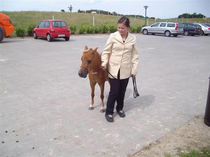 Vores tur til Rosenkilde Gods idag  billede 18