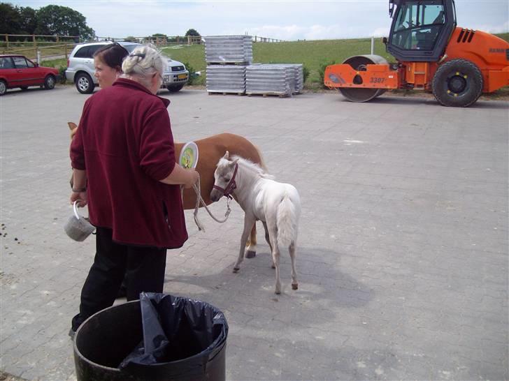 Vores tur til Rosenkilde Gods idag  - Her er vi begge to billede 19