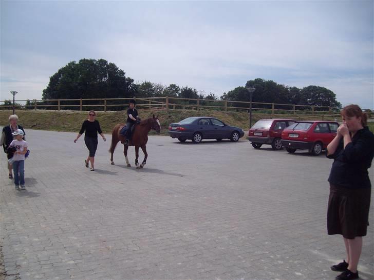 Vores tur til Rosenkilde Gods idag  billede 21