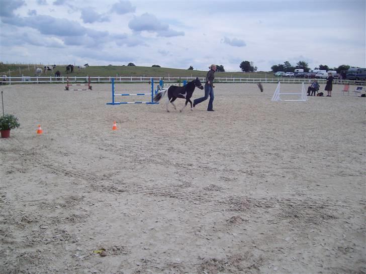 Vores tur til Rosenkilde Gods idag  - Så er der spring billede 22