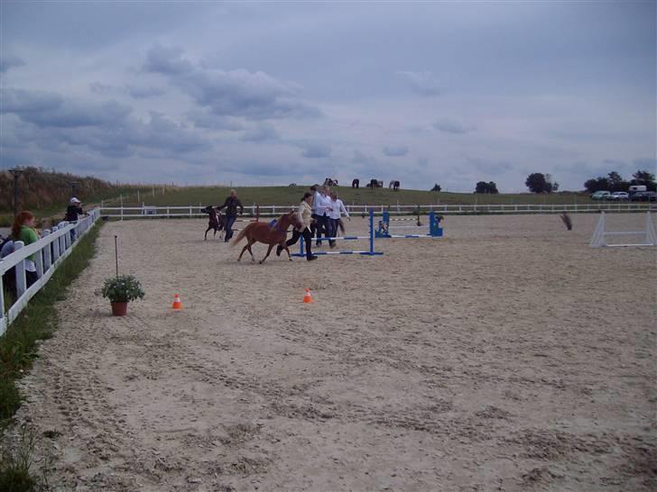 Vores tur til Rosenkilde Gods idag  billede 23